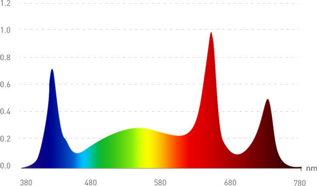 Cuttage Spectrum