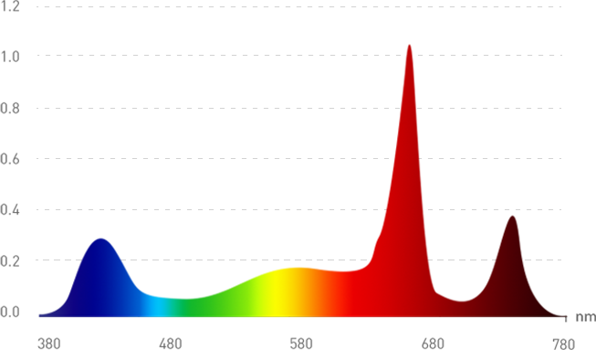 Vegetative Spectrum