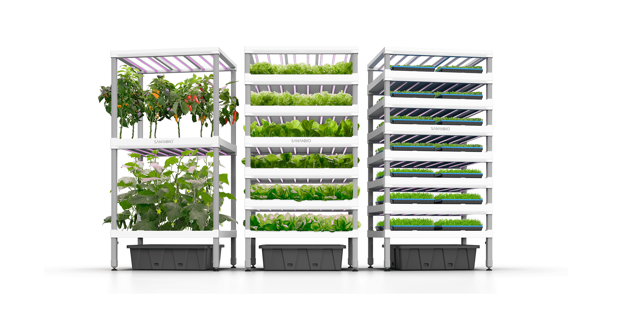 RADIX Vertical Hydroponic Module