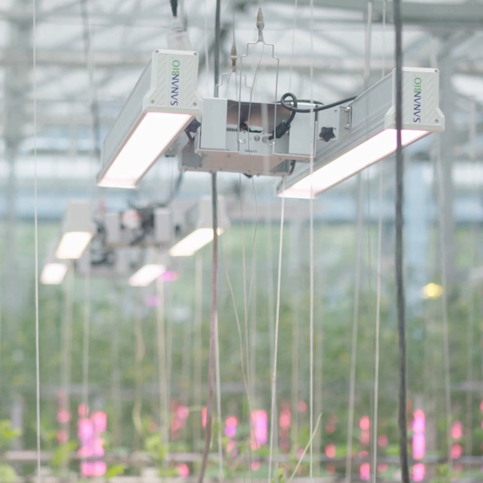 Greenhouse Lighting