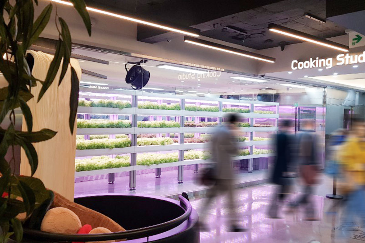 Smart Farms Sprouting in Seoul Metro Stations